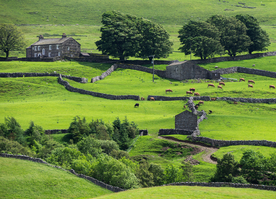 中世纪田园风景图