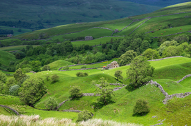 中世纪田园风景图