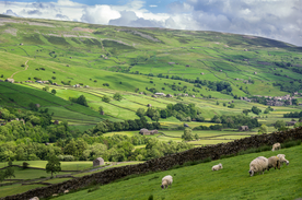 中世纪田园风景图