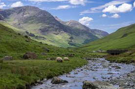 中世纪田园风景图