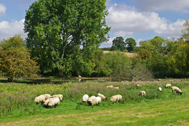 中世纪田园风景图