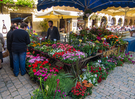 中世纪田园风景图