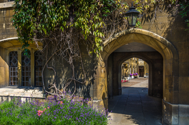 中世纪田园风景图