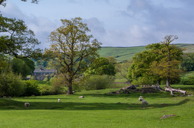 中世纪田园风景图