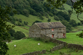 中世纪田园风景图