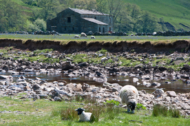 中世纪田园风景图