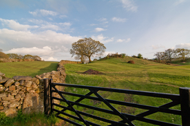 中世纪田园风景图