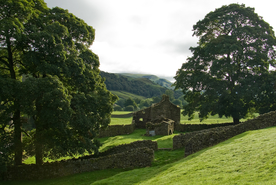 中世纪田园风景图