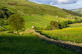 中世纪田园风景图