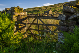 中世纪田园风景图