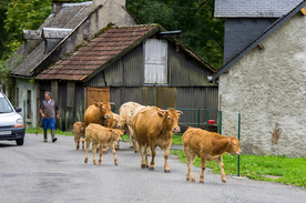 中世纪田园风景图