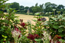 中世纪田园风景图