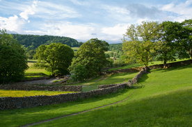 中世纪田园风景图