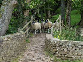 中世纪田园风景图