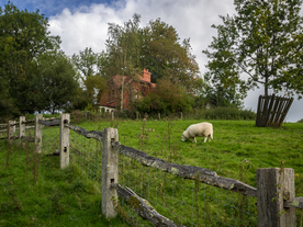 中世纪田园风景图