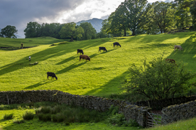 中世纪田园风景图
