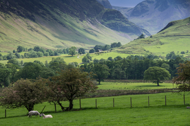 中世纪田园风景图