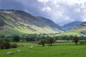 中世纪田园风景图