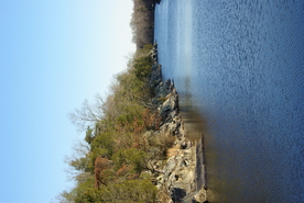 中世纪田园风景图