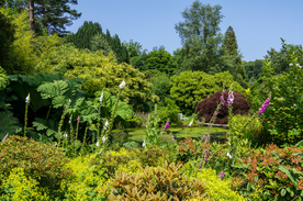 中世纪田园风景图