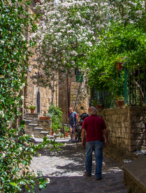 中世纪田园风景图