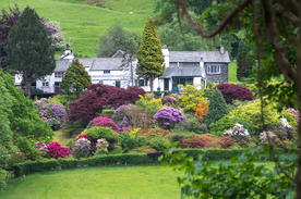 中世纪田园风景图