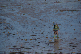中世纪田园风景图