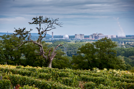 中世纪田园风景图