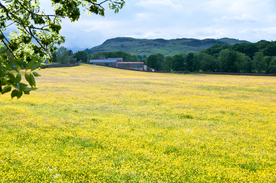 中世纪田园风景摄影