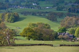 中世纪田园风景图