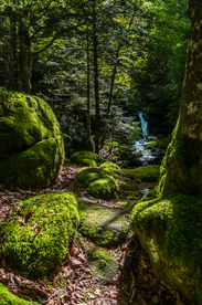 中世纪田园风景图