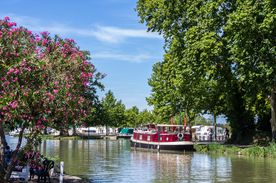 中世纪田园风景摄影