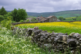 中世纪田园风景图
