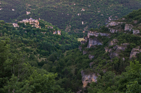 中世纪田园风景图