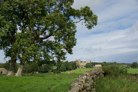 中世纪田园风景图