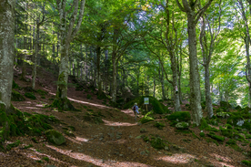 中世纪田园风景摄影
