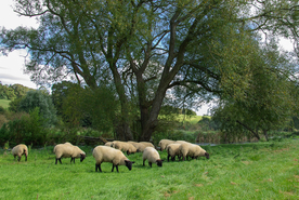 中世纪田园风景摄影