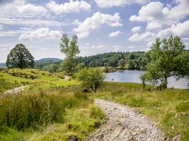 中世纪田园风景摄影