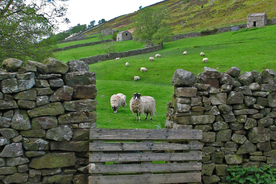 中世纪田园风景摄影