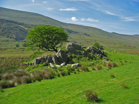 中世纪田园风景摄影