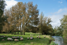 中世纪田园风景摄影