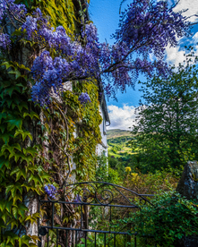 中世纪田园风景摄影