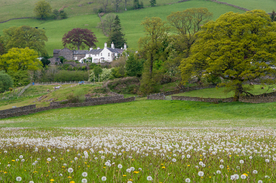 中世纪田园风景摄影
