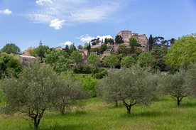 中世纪田园风景摄影