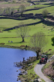 中世纪田园风景摄影