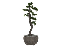榕树3d模型