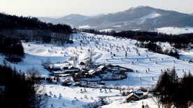 抚顺农村雪景风光