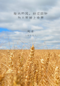 处暑 海报 秋天