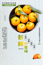 新鲜小蜜橘水果促销宣传展板