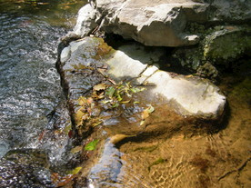 秋意盎然小溪流水